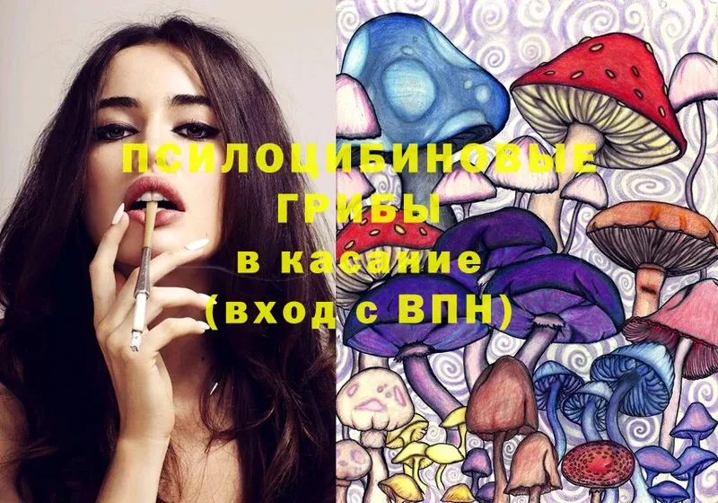 kraken   Октябрьск  Псилоцибиновые грибы Psilocybe 